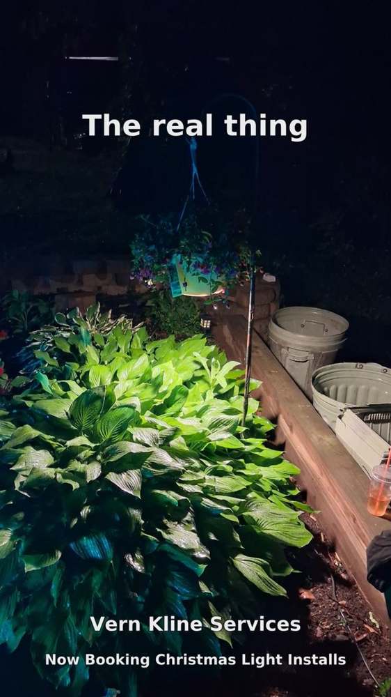 A smart light-up planter with a pool of colored light on the ground below it