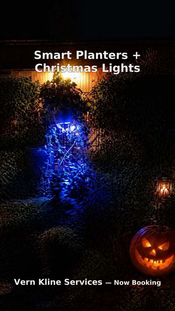 A yard lit with colorful holiday lights